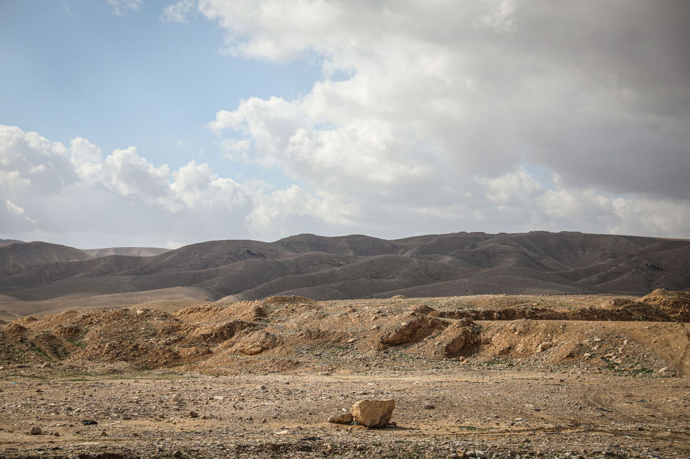 הגשם והפלסטיק הגיעו לגמלים במדבר יהודה | צפו בגלריה