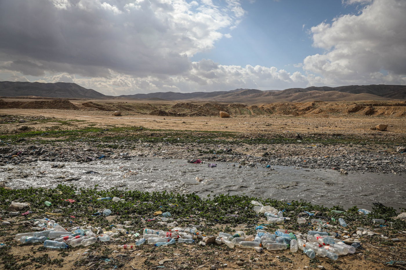 הגשם והפלסטיק הגיעו לגמלים במדבר יהודה | צפו בגלריה