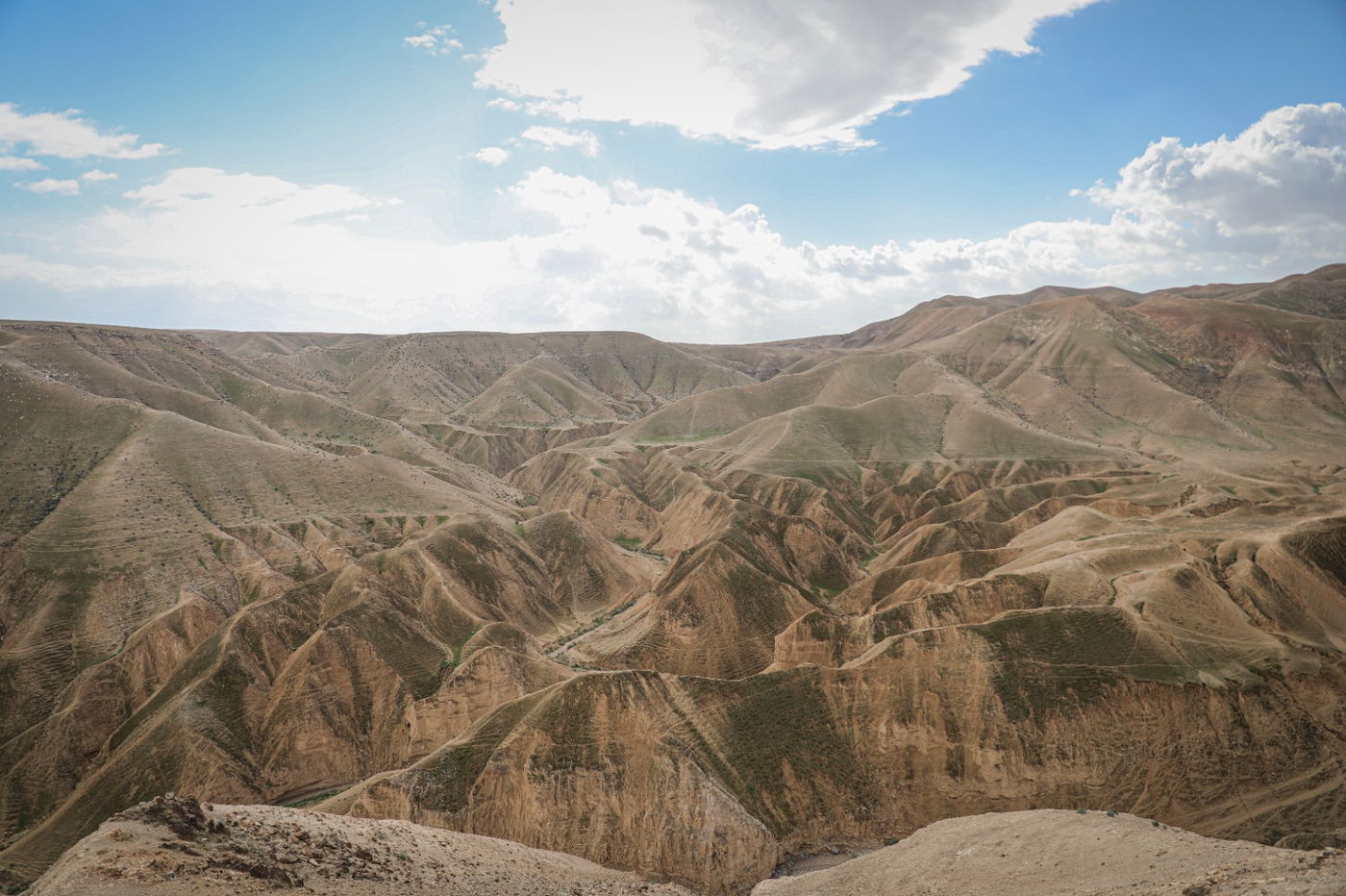 הגשם והפלסטיק הגיעו לגמלים במדבר יהודה | צפו בגלריה