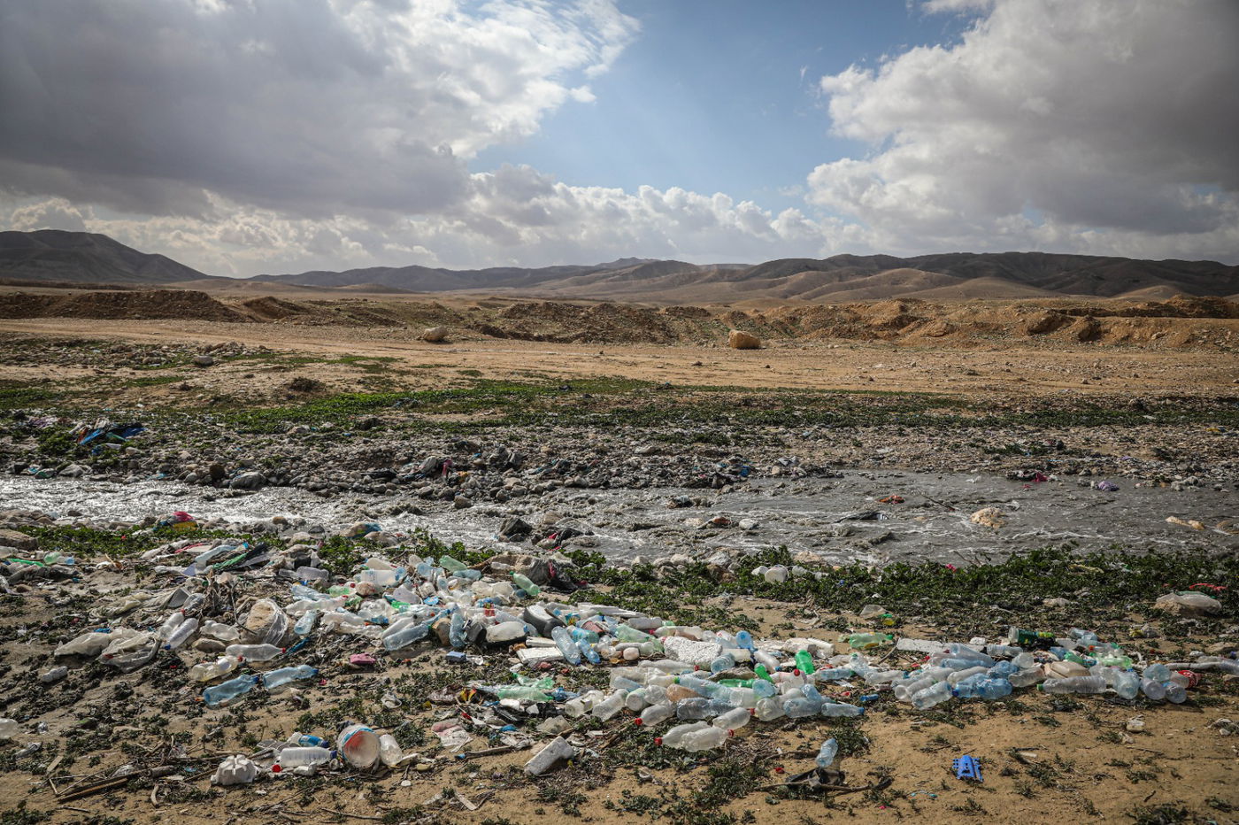 הגשם והפלסטיק הגיעו לגמלים במדבר יהודה | צפו בגלריה