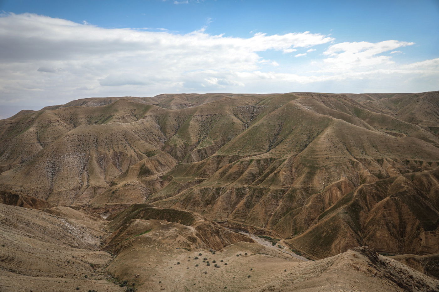הגשם והפלסטיק הגיעו לגמלים במדבר יהודה | צפו בגלריה