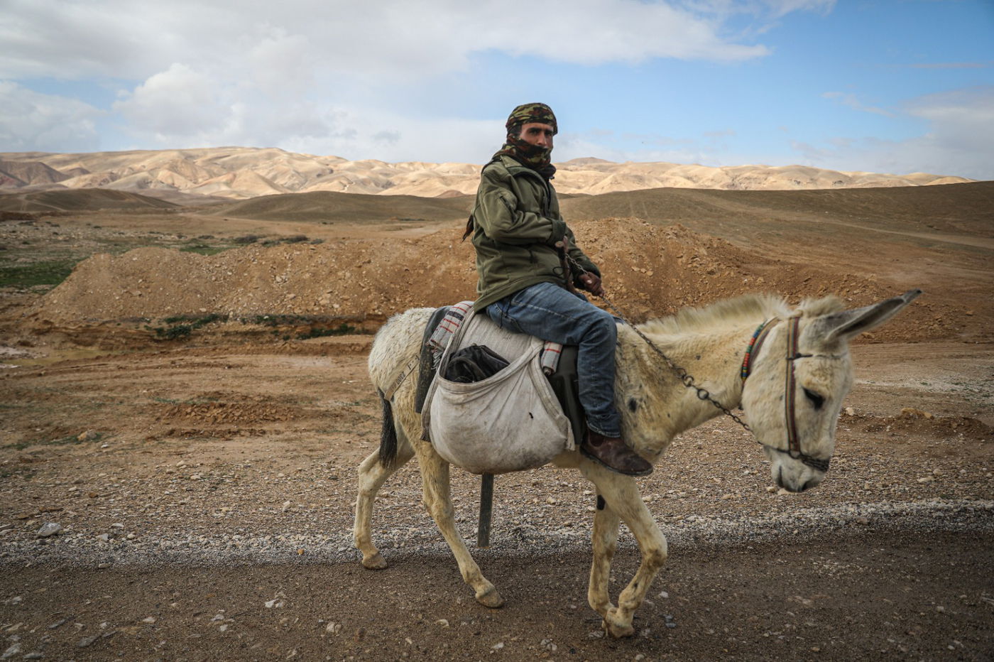 הגשם והפלסטיק הגיעו לגמלים במדבר יהודה | צפו בגלריה