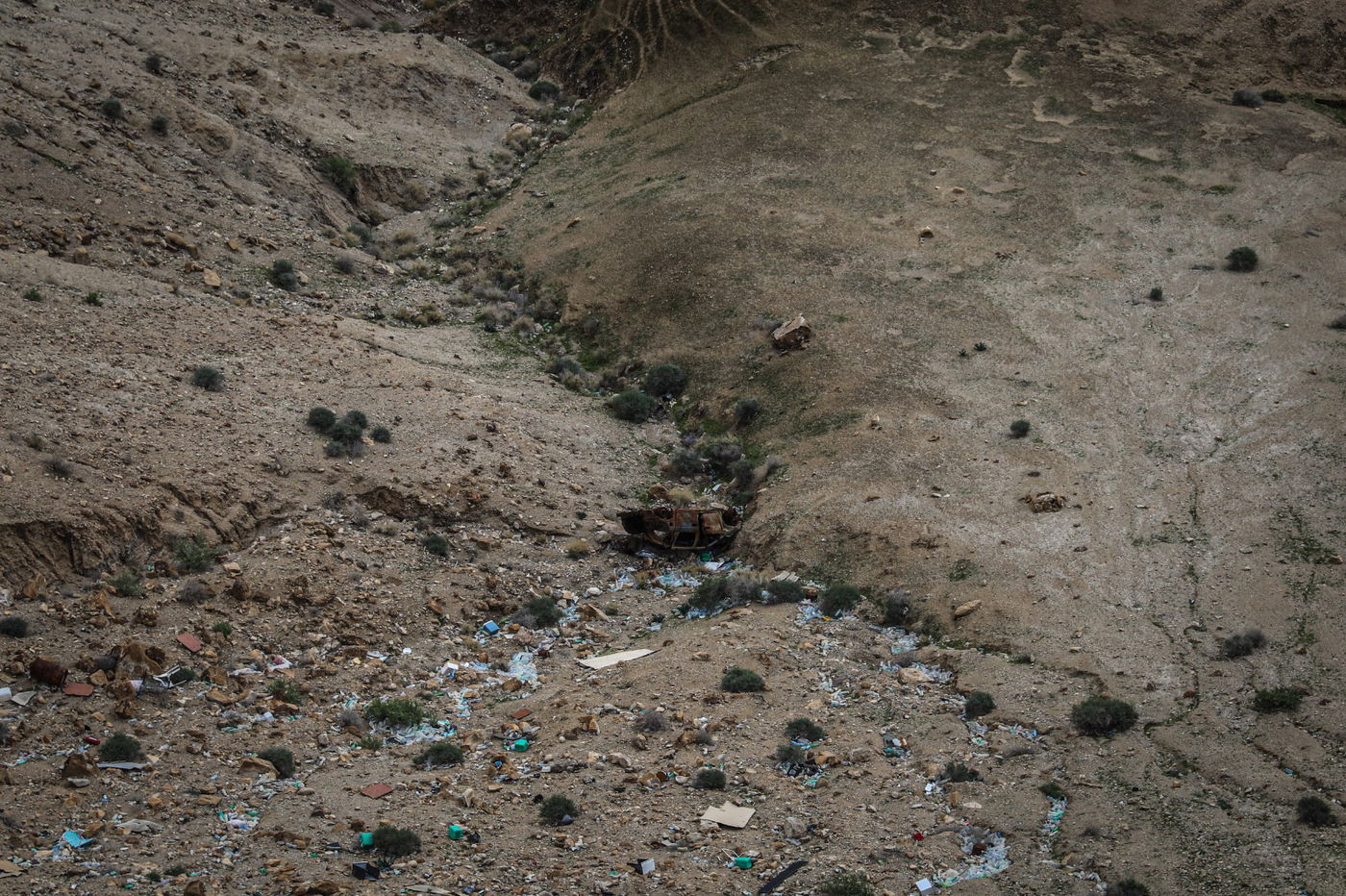 הגשם והפלסטיק הגיעו לגמלים במדבר יהודה | צפו בגלריה