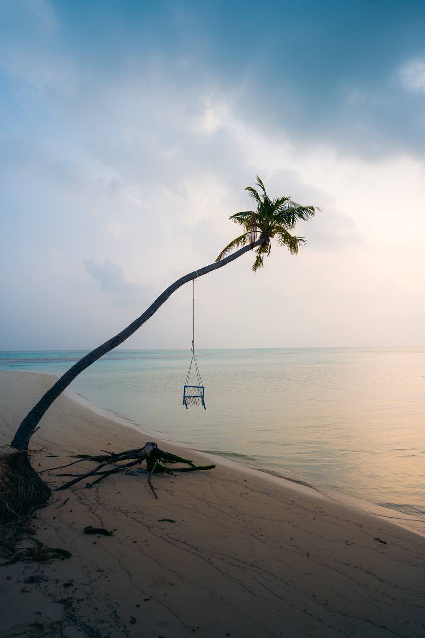 צולל עם כרישים ואוכל טונה | אוהד הנווד במסע ימי במלדיבים