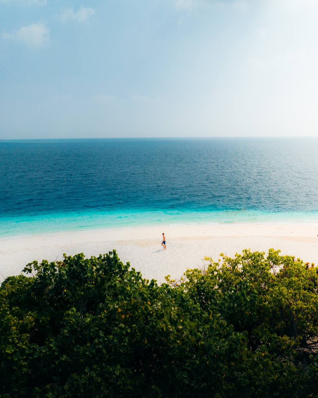 צולל עם כרישים ואוכל טונה | אוהד הנווד במסע ימי במלדיבים
