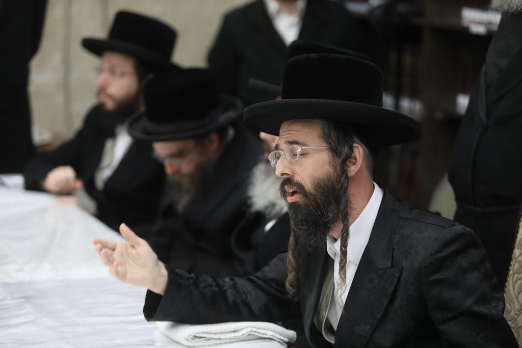 פירות משובחים ו'לחיים'; טיש ט"ו בשבט בזוועהיל | צפו