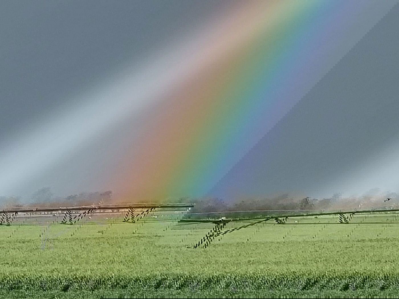 גשמי הברכה: צפו בזרימות האדירות בצפון הארץ