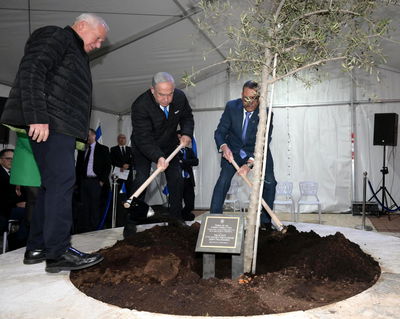 נתניהו נטע עץ סמוך למקום הפיגוע בנווה יעקב | תיעוד