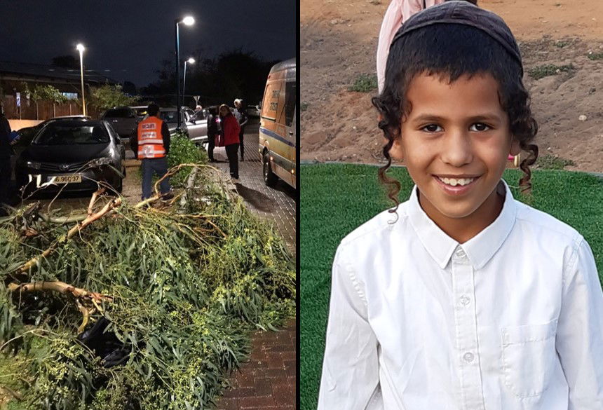 מלאכי והעץ שקרס