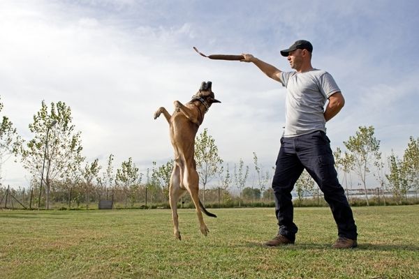 אילוסטרציה