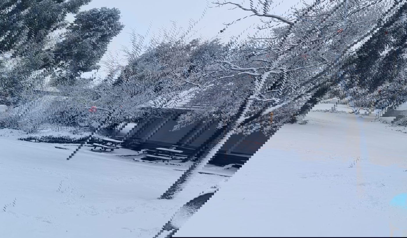 תושבי הגולן התעוררו למרבדי שלג לבנים ויפים | תיעוד