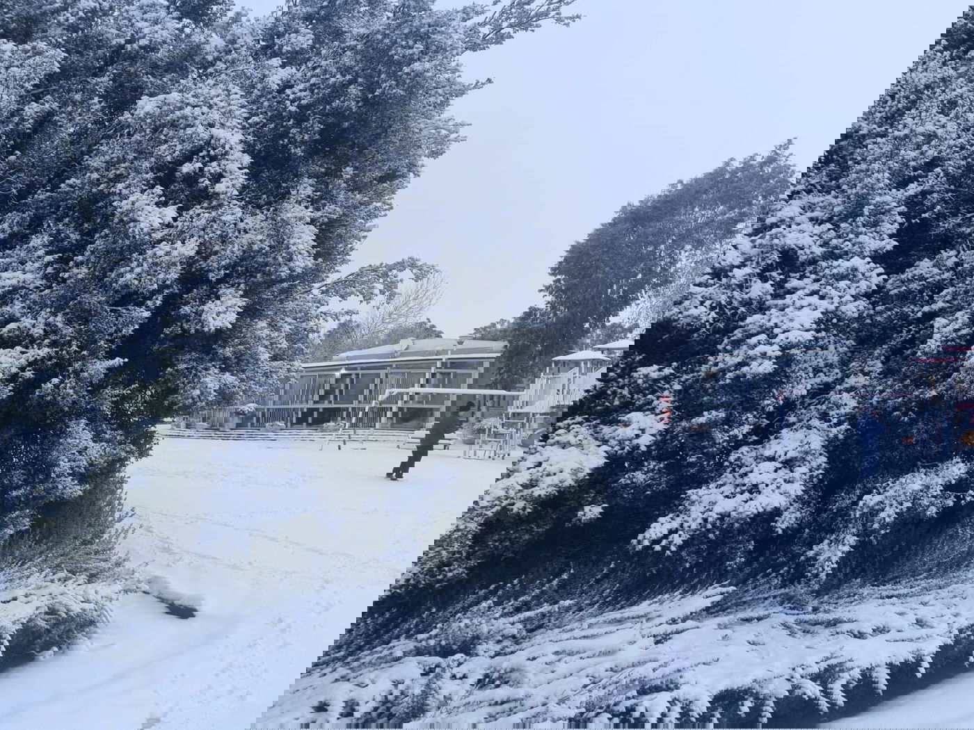 תושבי הגולן התעוררו למרבדי שלג לבנים ויפים | תיעוד