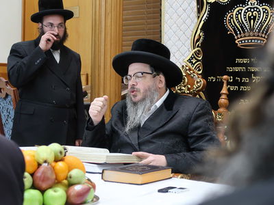 ט"ו בשבט בחסידות בוסטון בביתר