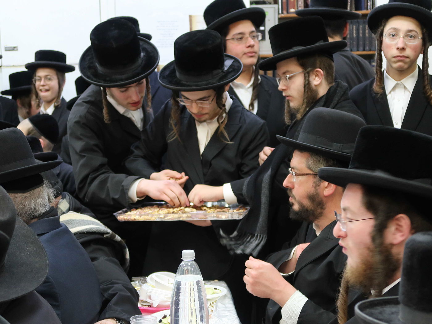 הרבי חילק פירות: ט"ו בשבט בחסידות בוסטון בביתר