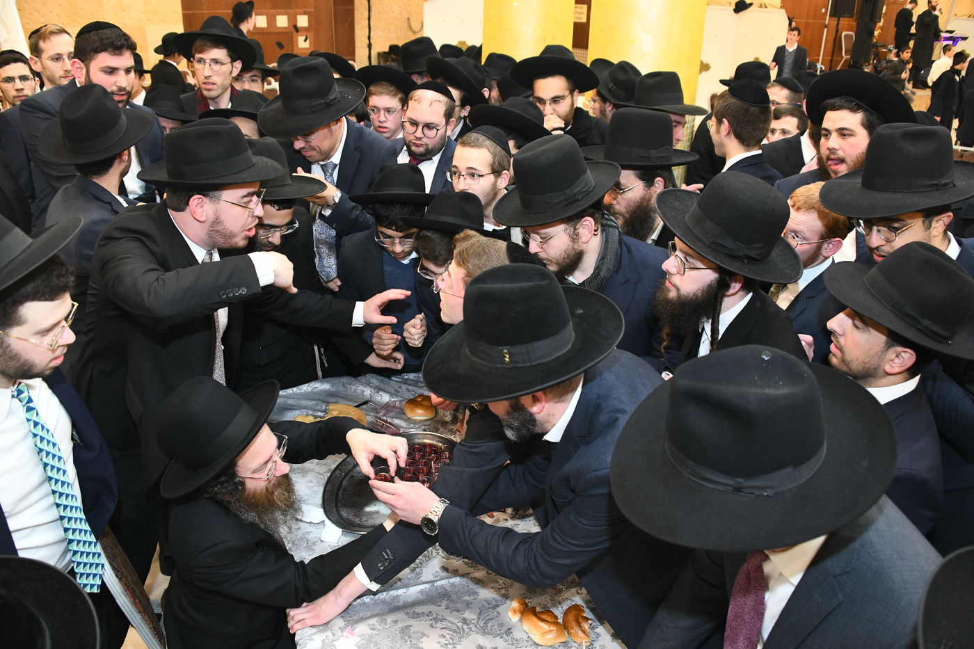 המונים בחתונת בנו של הגאון רבי עמרם פריד • צפו בגלריה