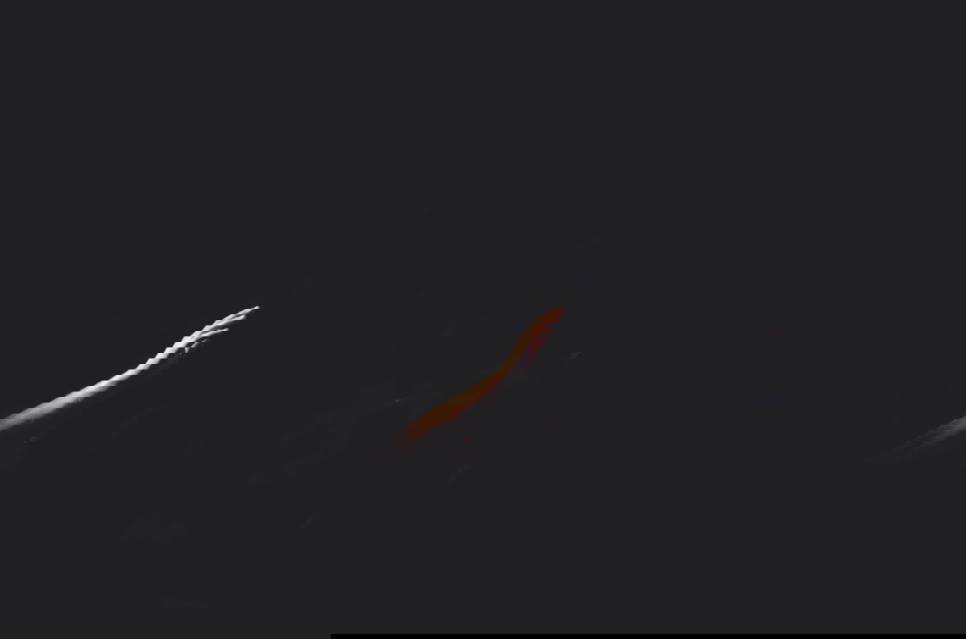 הַרְרֵי קֹדֶשׁ נחלקו - האם השדים הם יצור טבעי שאפשר לפגוש?