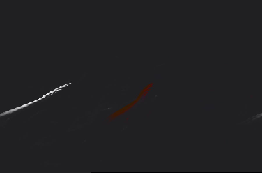 הַרְרֵי קֹדֶשׁ נחלקו - האם השדים הם יצור טבעי שאפשר לפגוש?