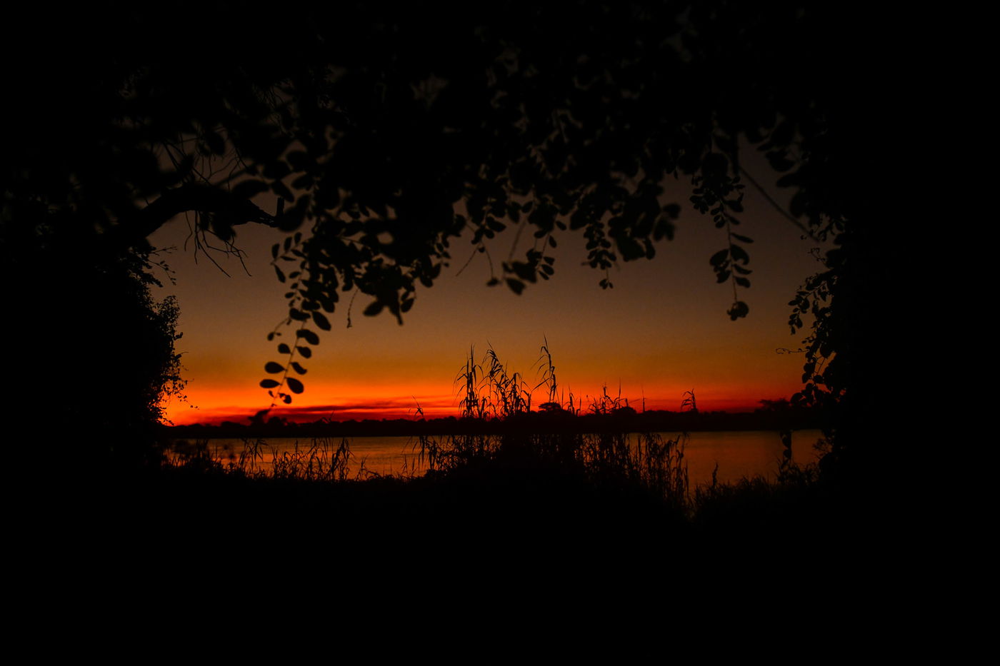 מה עושה צלם שאיבד את כל כספו בזימבבואה? ממשיך לצלם... • צפו