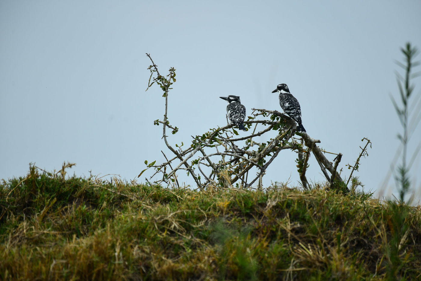 מה עושה צלם שאיבד את כל כספו בזימבבואה? ממשיך לצלם... • צפו