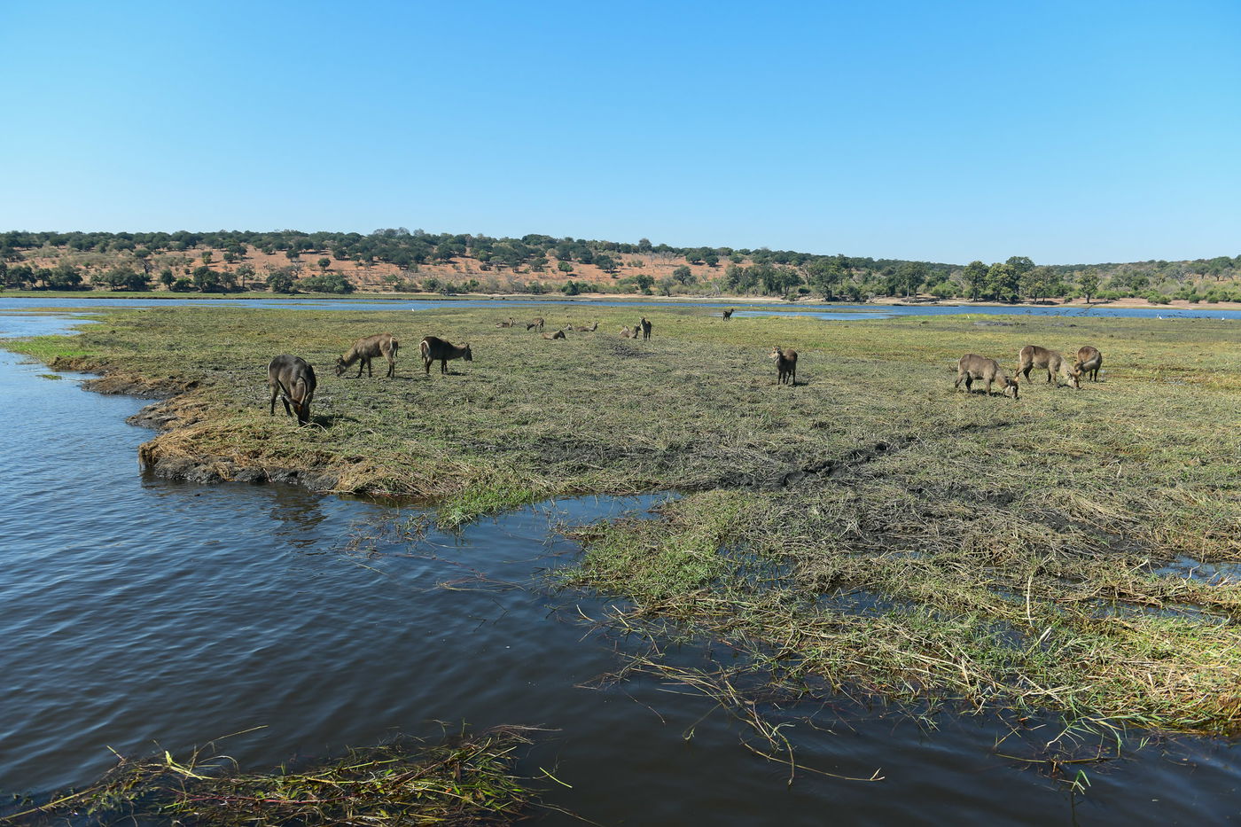 מה עושה צלם שאיבד את כל כספו בזימבבואה? ממשיך לצלם... • צפו