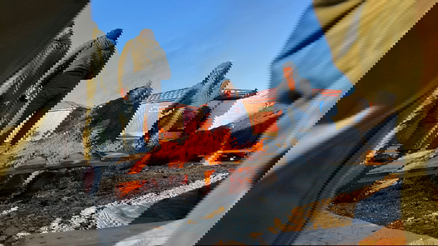 זופניק בכיכר • כל התמונות והנייעס של השבוע