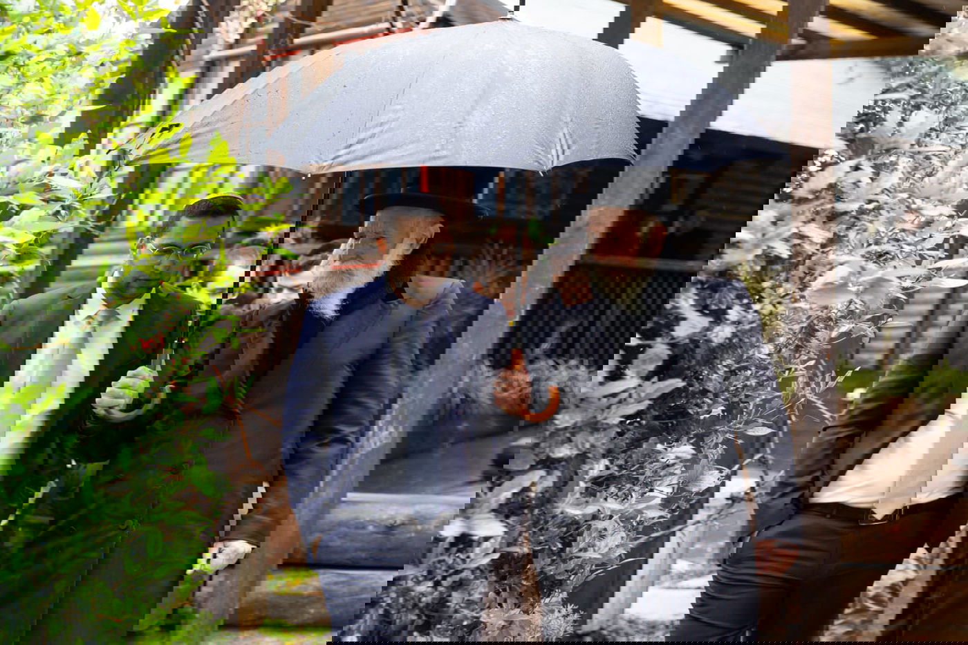 זופניק בכיכר • כל התמונות והנייעס של השבוע