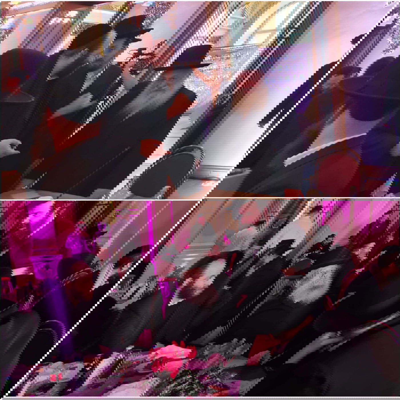 זופניק בכיכר • כל התמונות והנייעס של השבוע