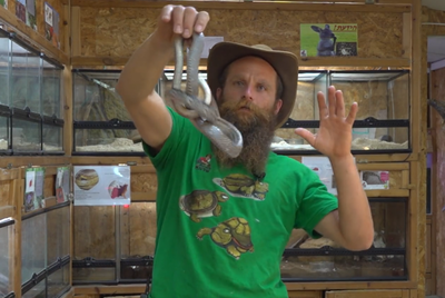 כל מה שלא ידעתם על נחש הקרחן הרדאטה • חיות השדה