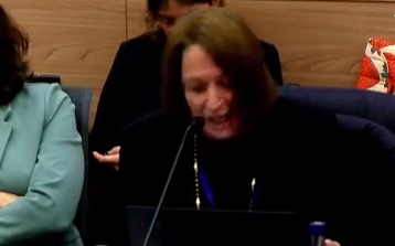 פרופ' איינהורן בדיון היום בוועדה