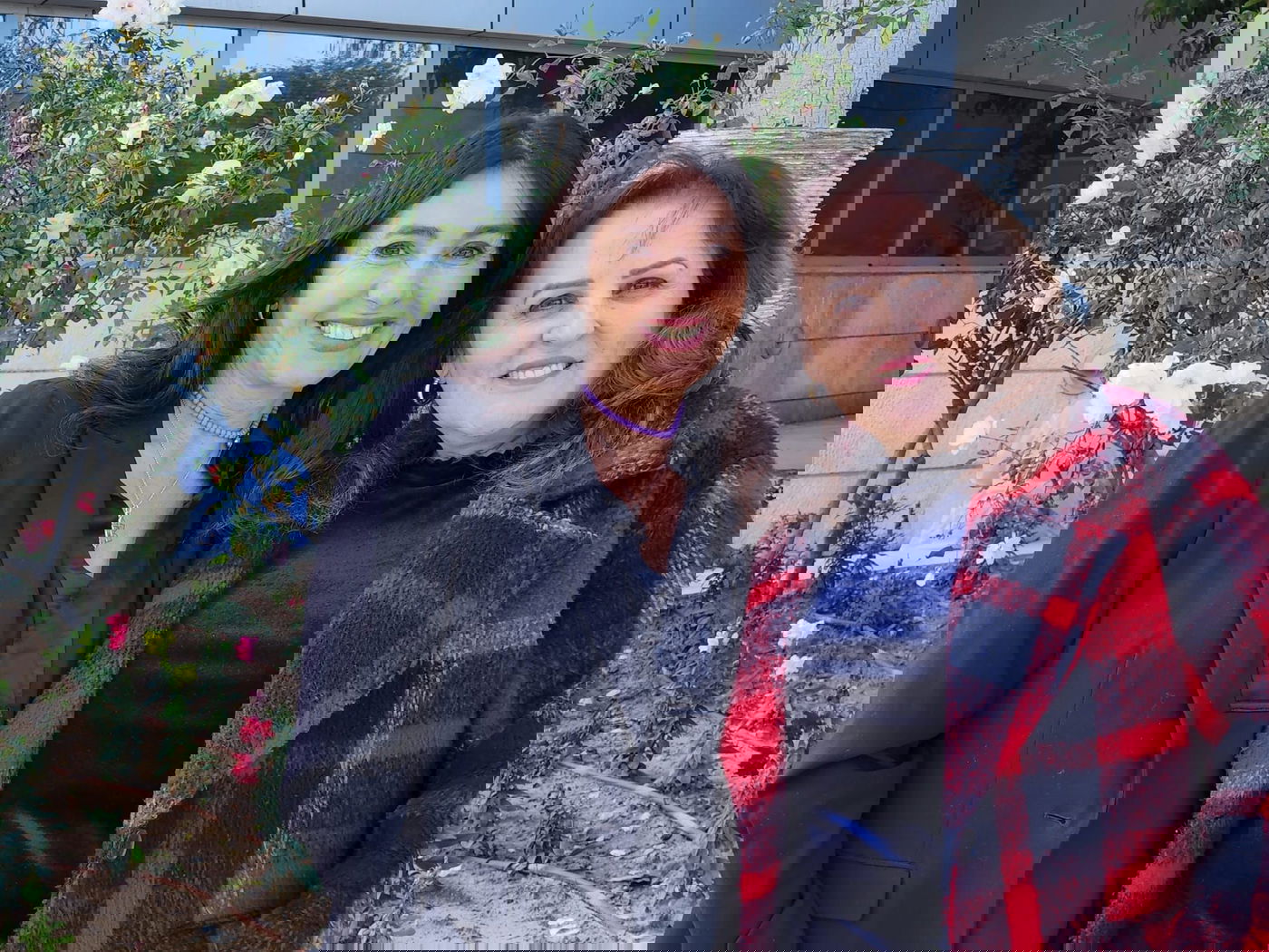 ח"כית חדשה-ישנה. שטרית ורגב