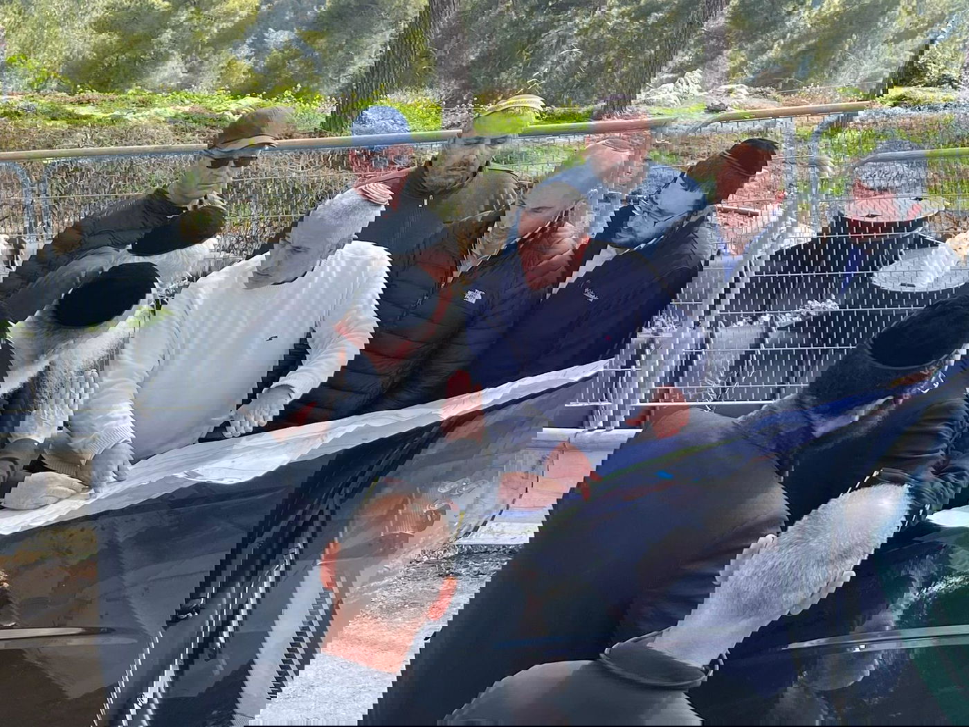 השר מאיר פרוש סייר בהר מירון לקראת הכנת מתווה ההילולא