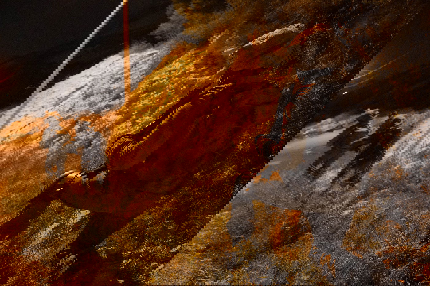 במהלך הלילה: לוחמי צה"ל עצרו 23 מבוקשים ביו"ש