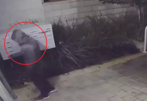 החשוד במעשה