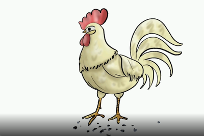 כך מציירים 'תרנגול' • עוד פרק לילדים בתוכנית לומדים לצייר