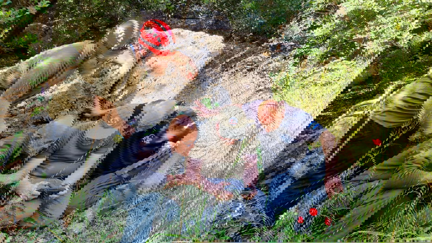 כלבי הרחה ורחפנים: נמשכים החיפושים אחר מוישי קליינרמן ו'נעדרי מירון'