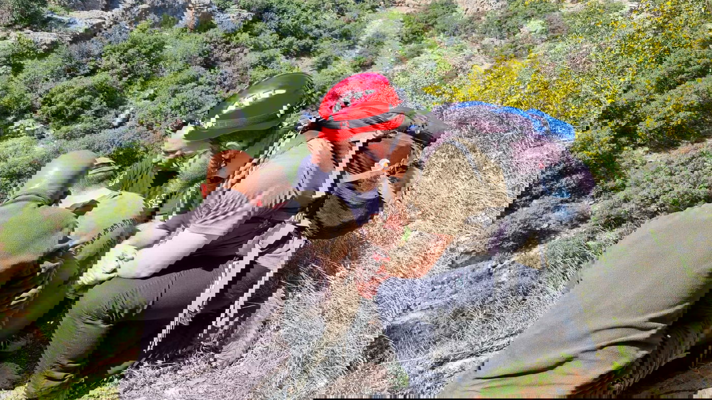 כלבי הרחה ורחפנים: נמשכים החיפושים אחר מוישי קליינרמן ו'נעדרי מירון'