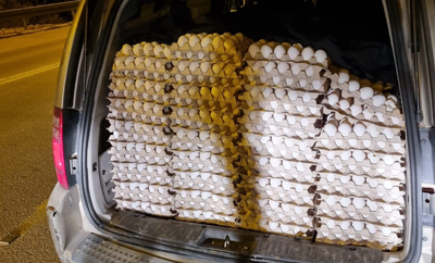 נתפס חשוד בהברחת 12 אלף ביצים ללא אישורים