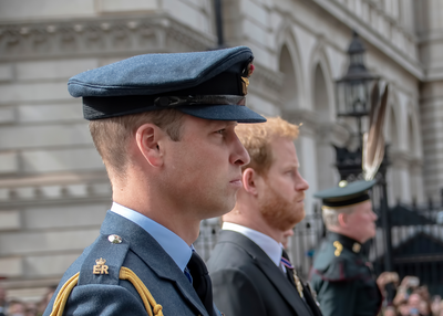 המשרת לשעבר של משפחת המלוכה חולק פרטים כואבים על ילדותם של הארי וויליאם