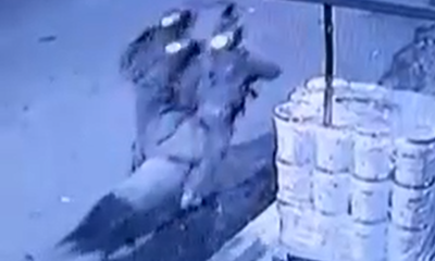 המחבל קפץ מהחלון במהלך מעצר ונתפס על ידי הכוחות