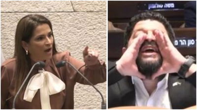 אלמוג כהן ומירב בן ארי במליאה