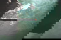 נער מהצפון שאף אדי קנאביס וכעת הוא מאושפז במצב קשה