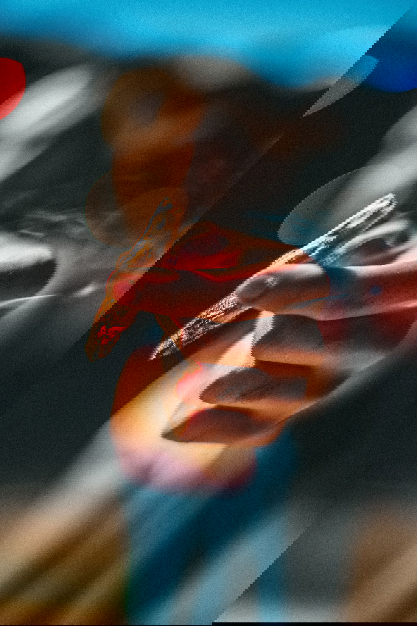 לפני השאכטה הראשונה - הכירו את הצד האפל של הקנאביס