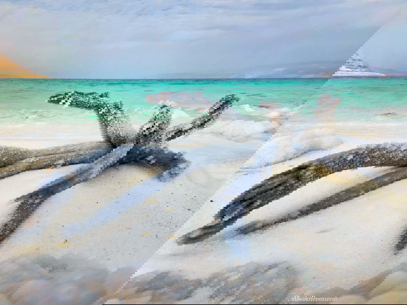 גזע עץ עתיק עטוף מלח. הוא הספיק לשכוח את מה שאנחנו עוד לא זוכרים...