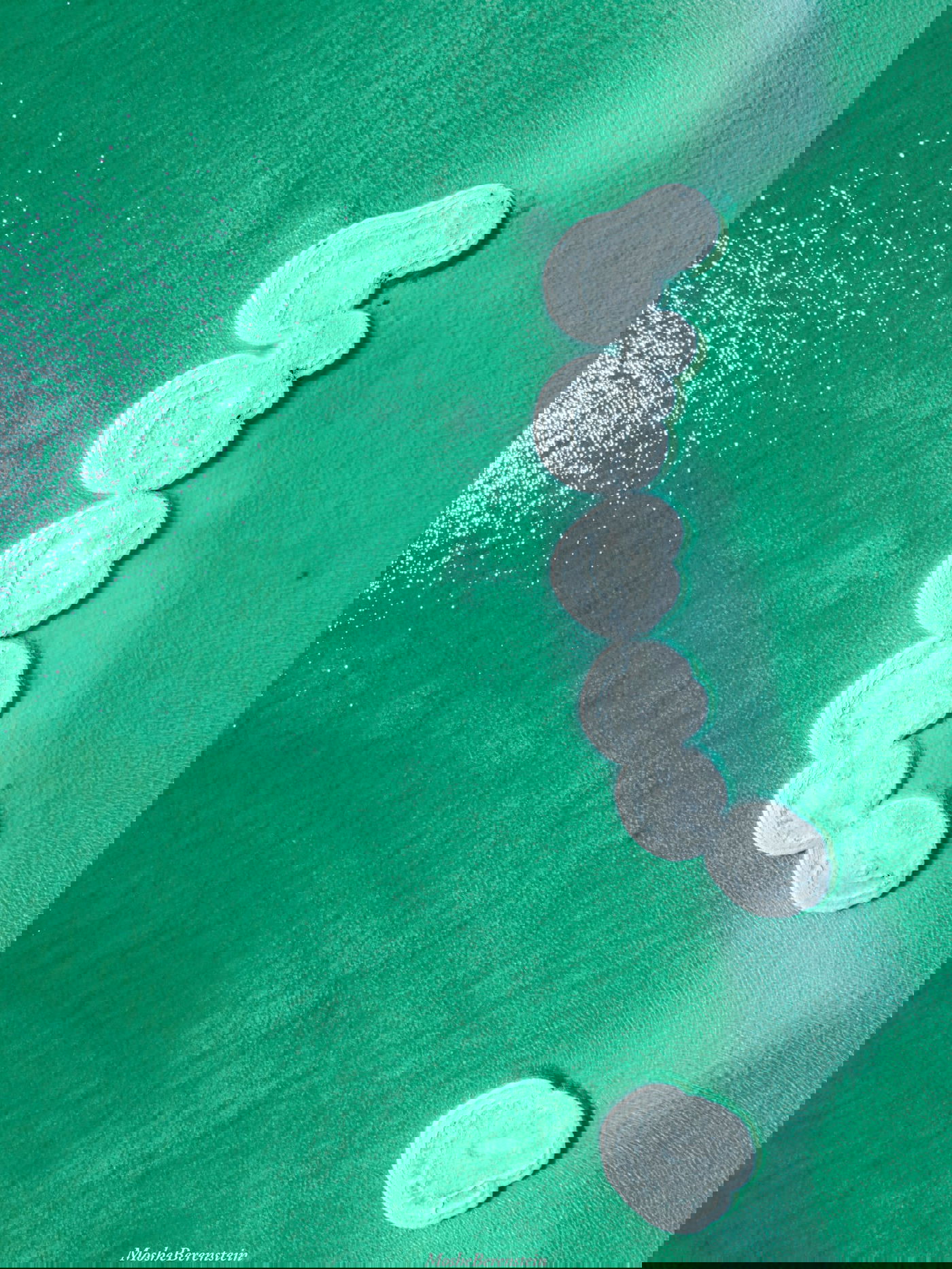 פטריות ים המלח בעין בוקק - אזור המלונות