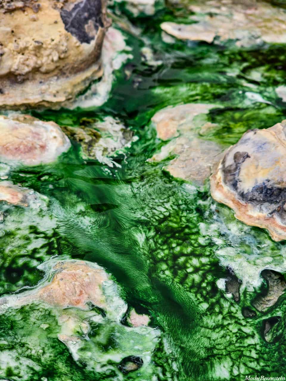 מהפנט. נביעה שמייצרת קסם של צבעים