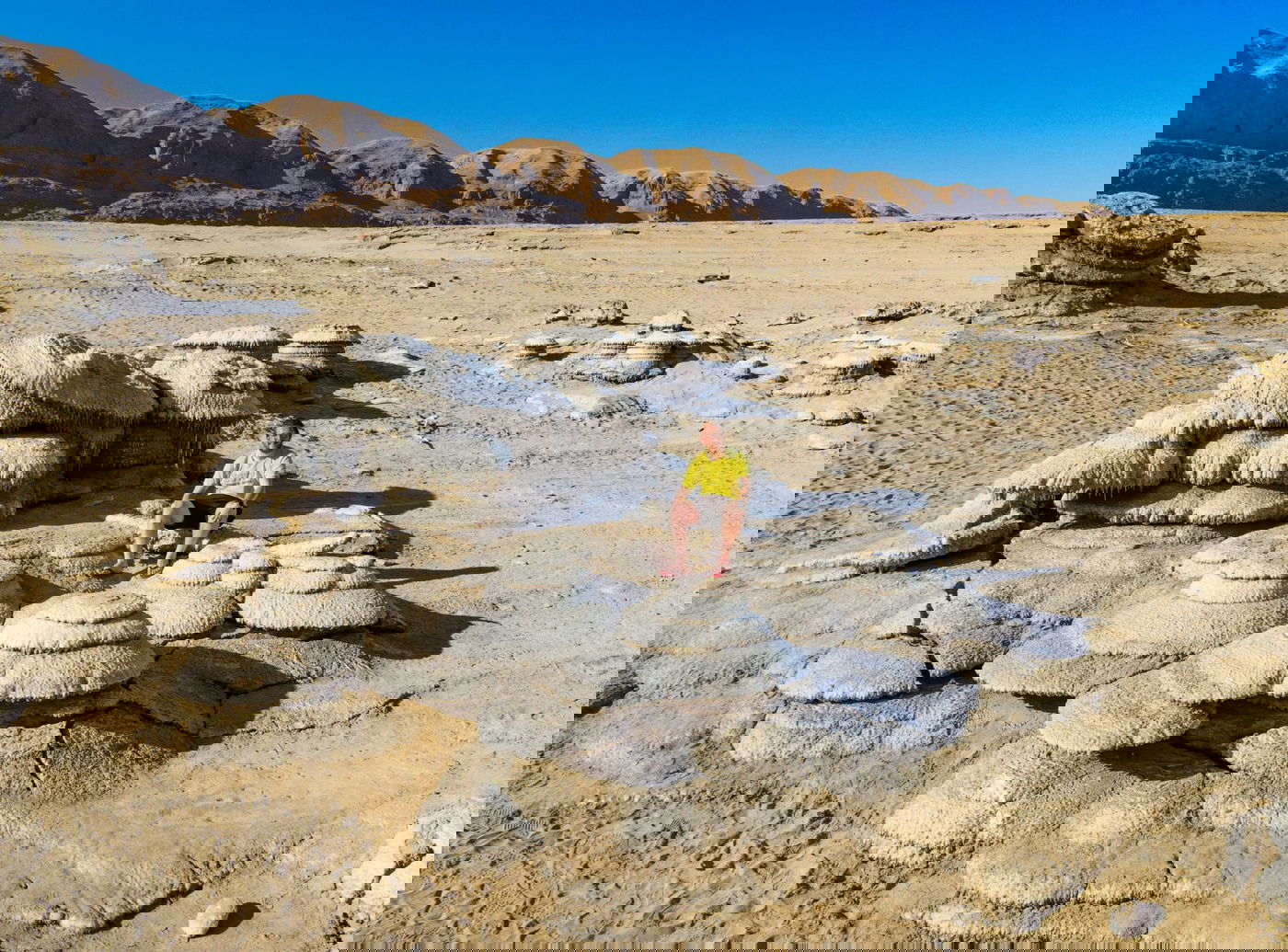 ים המלח הולך ונסוג. פטריות מלח שהתייבשו כתוצאה מנסיגת קו המים