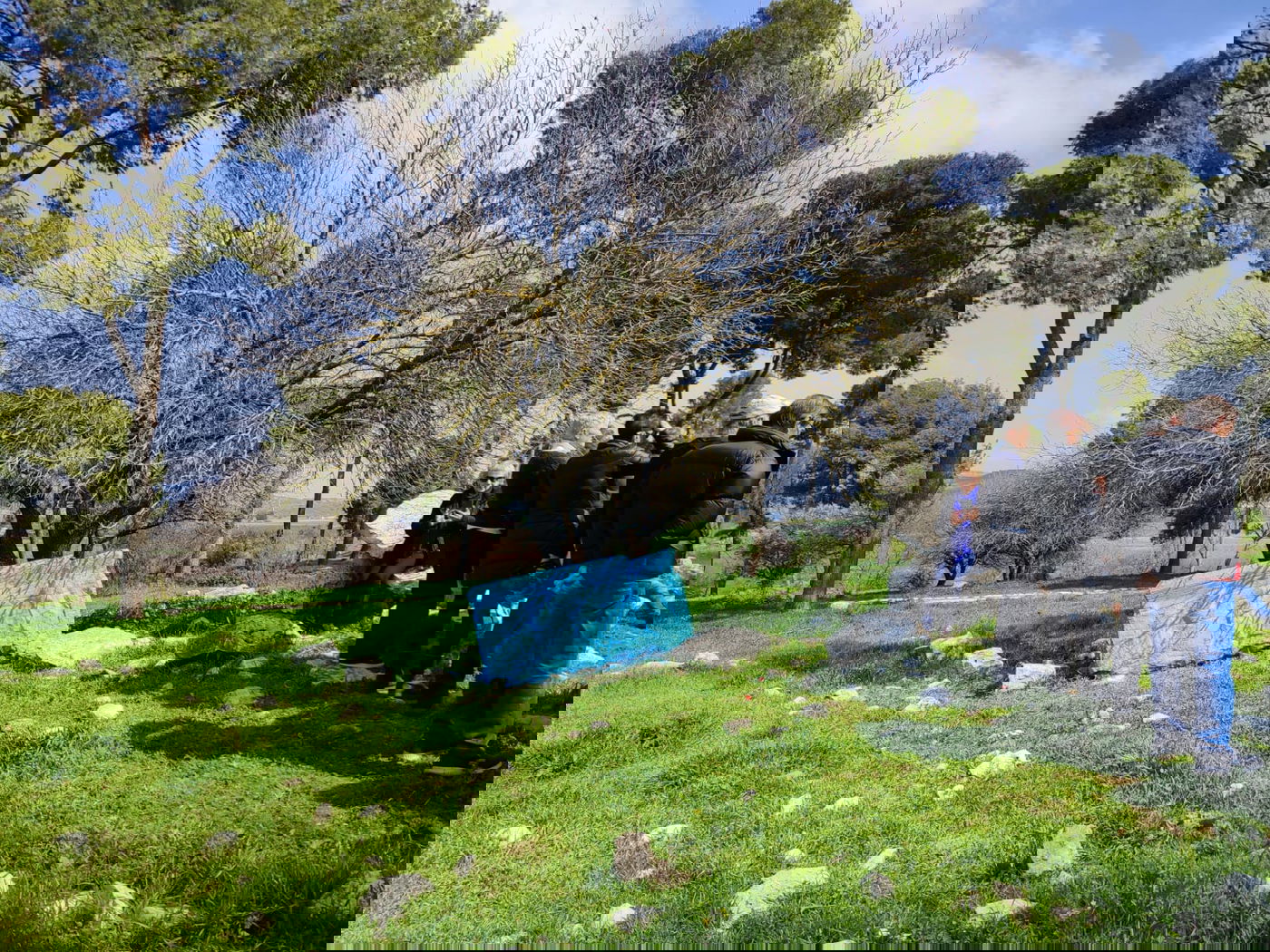 וונדליזם בגן הלאומי תל קדש: העתיקות נצבעו בכחול