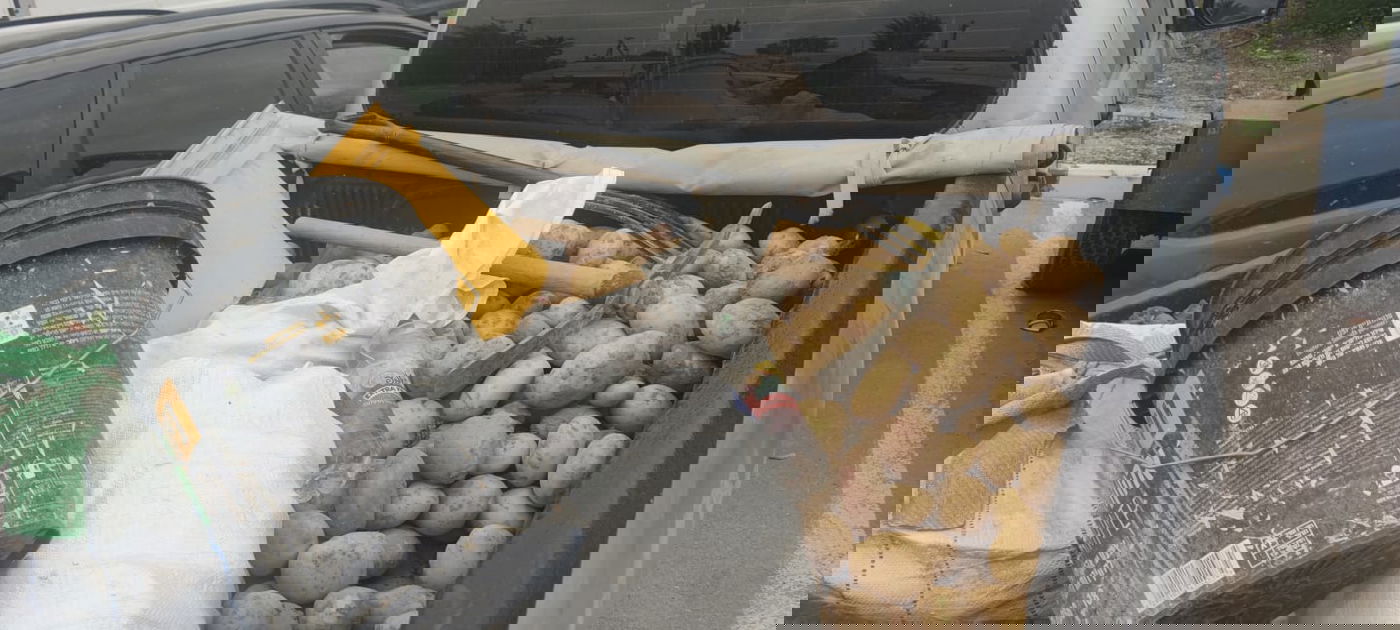 ניסו לגנוב תפוחי אדמה וגזר - ונעצרו על חם | תיעוד