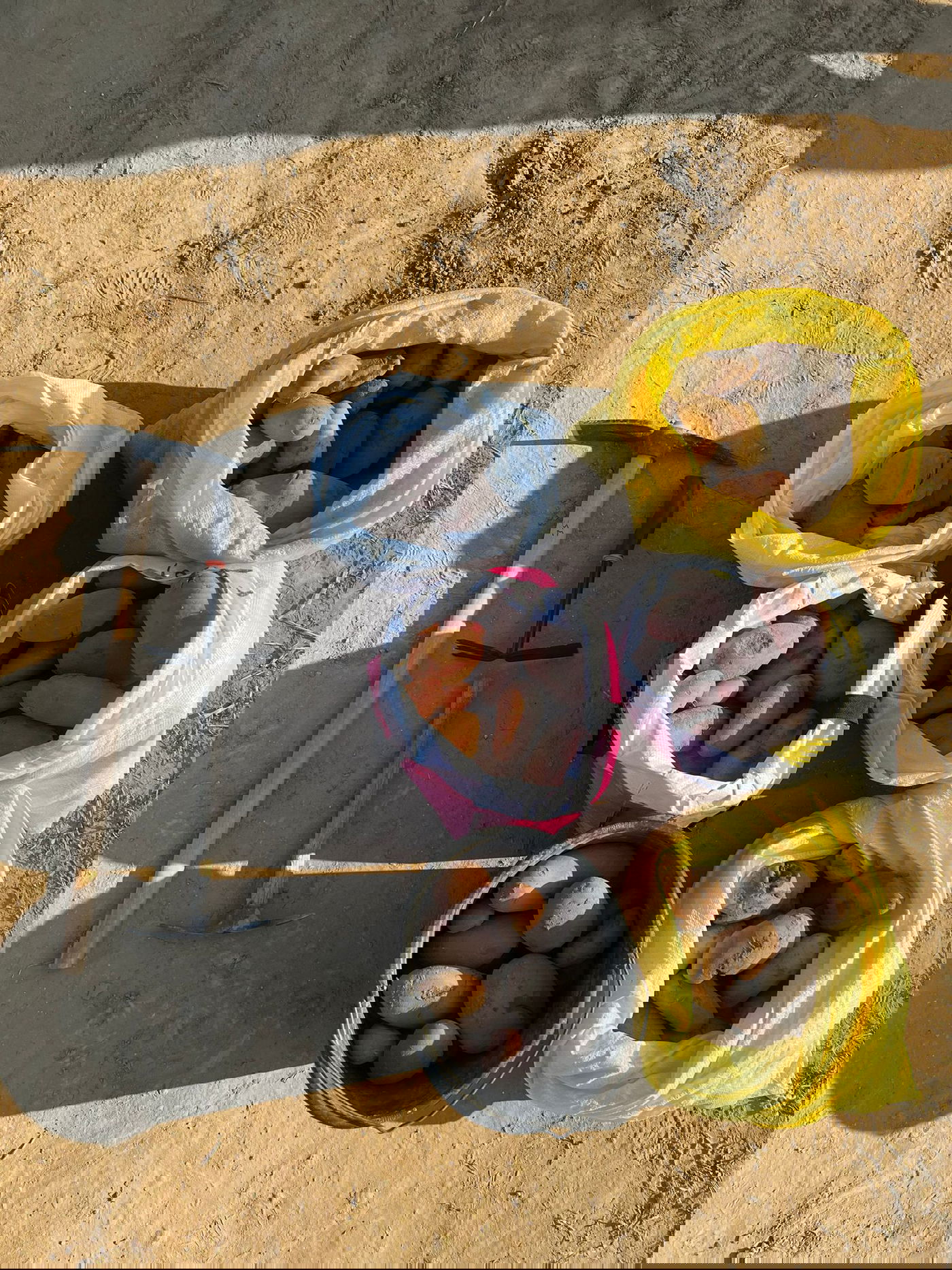 ניסו לגנוב תפוחי אדמה וגזר - ונעצרו על חם | תיעוד