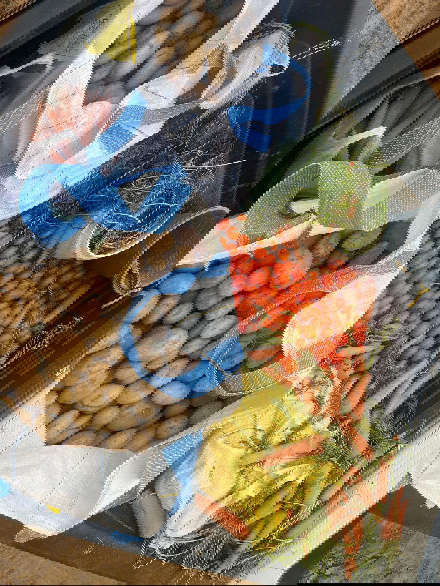 ניסו לגנוב תפוחי אדמה וגזר - ונעצרו על חם | תיעוד